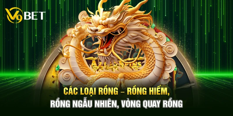 Các loại rồng – Rồng hiếm, rồng ngẫu nhiên, vòng quay rồng